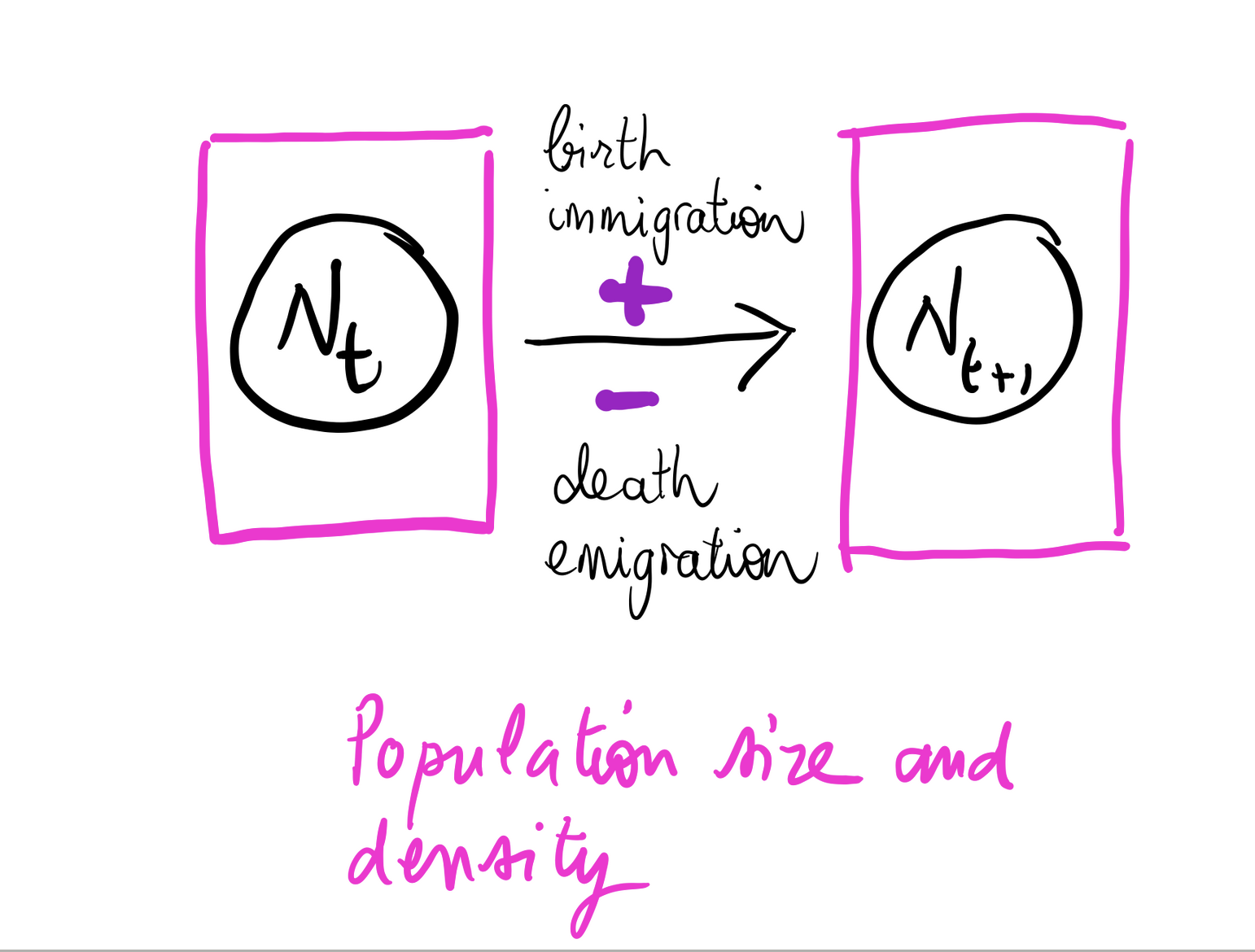 Special case of Nitrogen - I (video) | Khan Academy, image size:1542x1170