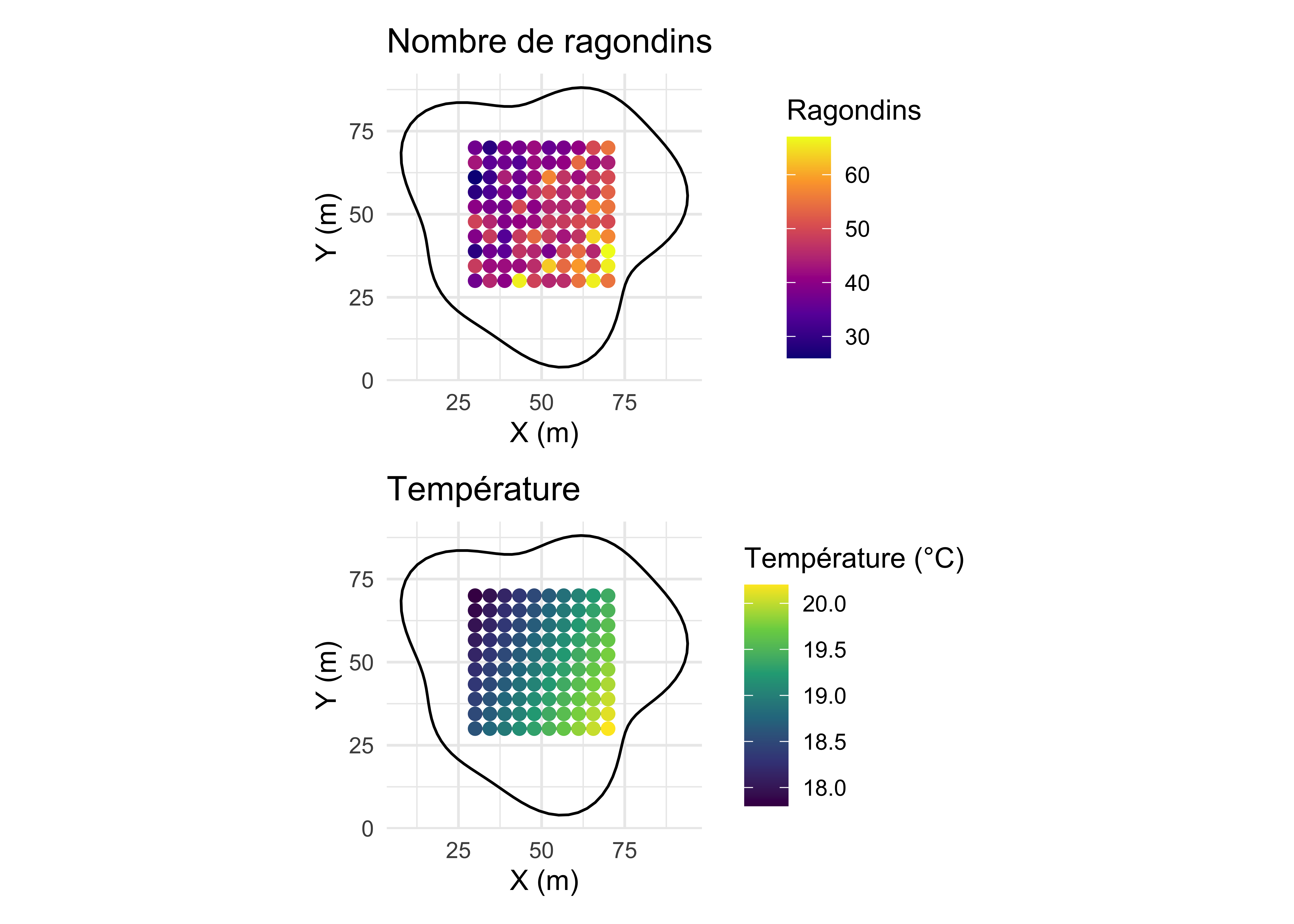 Schéma des données sur les ragondins selon un protocole d’échantillonnage avec 10 points dans 10 transects. L'aire d'étude est en noir. En haut on a le nombre de ragondins, et en bas la température.